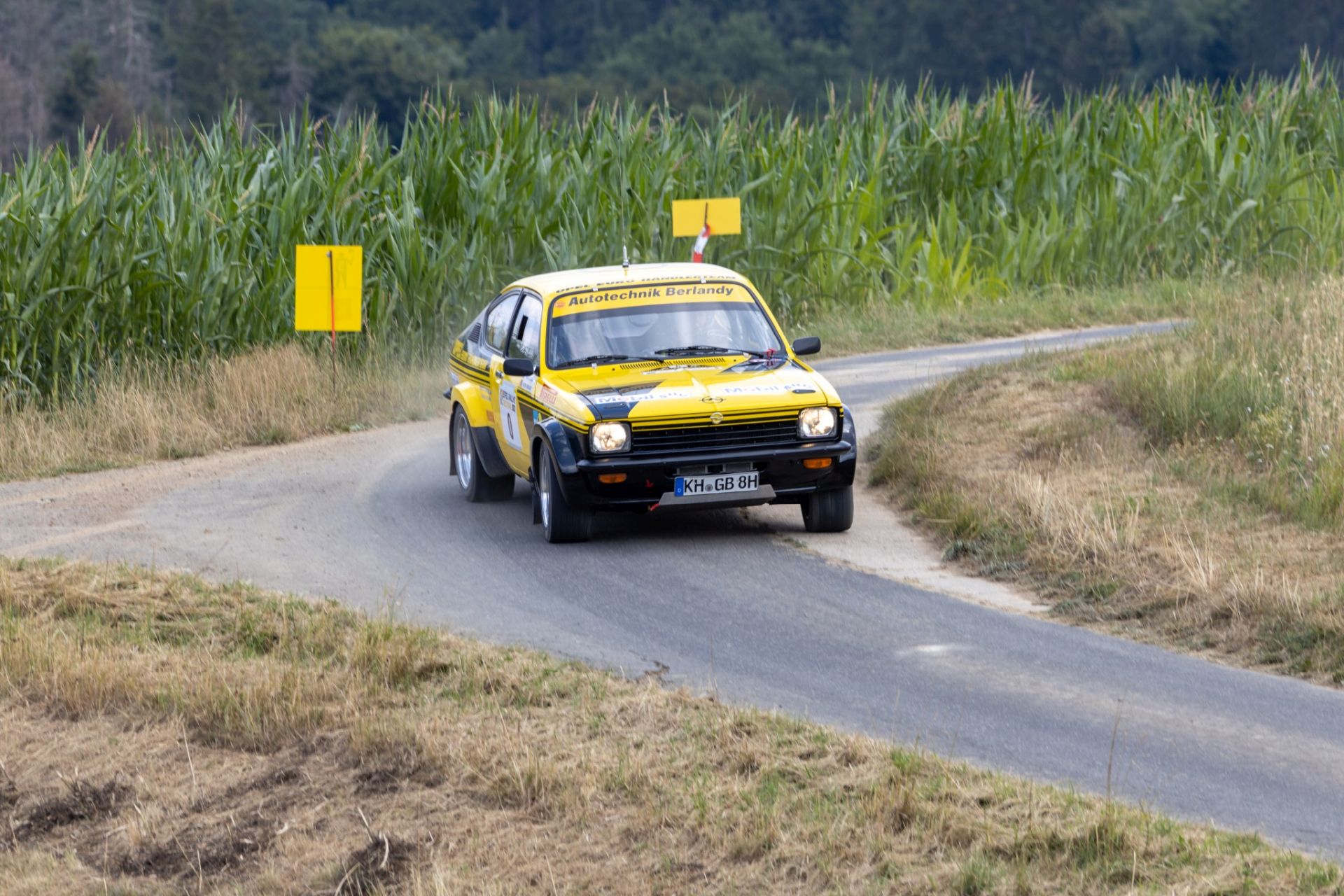 3B9A6526