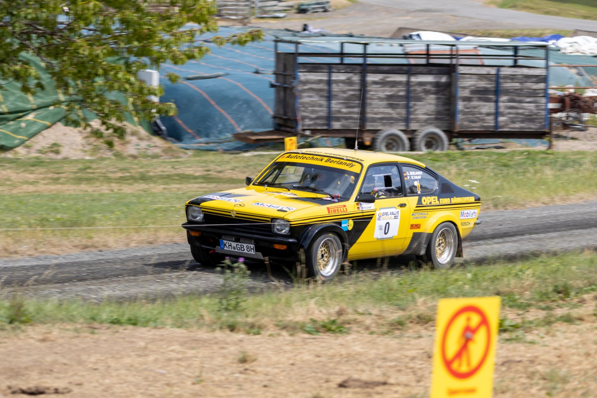 3B9A9154