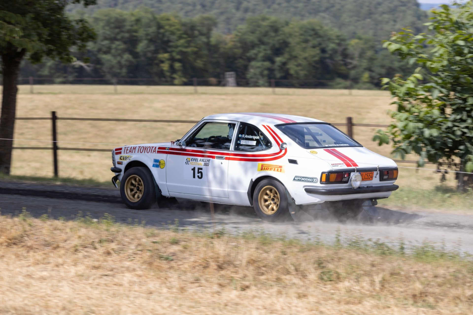 3B9A9938